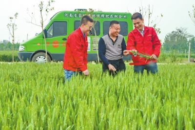 91香蕉APP下载化肥定制化生产让经销商扮演新角色